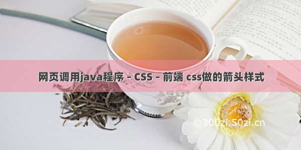 网页调用java程序 – CSS – 前端 css做的箭头样式