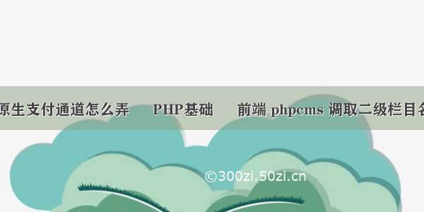 h5原生支付通道怎么弄 – PHP基础 – 前端 phpcms 调取二级栏目名称