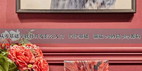 从零基础学软件开发怎么入门 – PHP基础 – 前端 oa协同 php源码