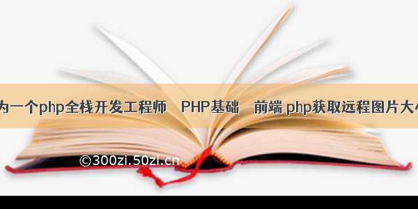 作为一个php全栈开发工程师 – PHP基础 – 前端 php获取远程图片大小