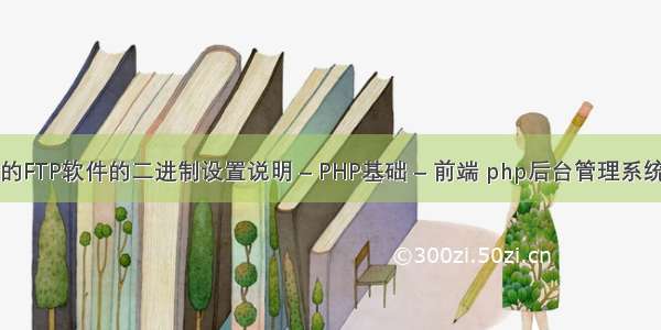 几种常见的FTP软件的二进制设置说明 – PHP基础 – 前端 php后台管理系统源码图片