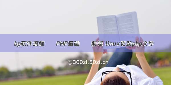 bp软件流程 – PHP基础 – 前端 linux更新php文件