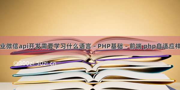 企业微信api开发需要学习什么语言 – PHP基础 – 前端 php自适应样式