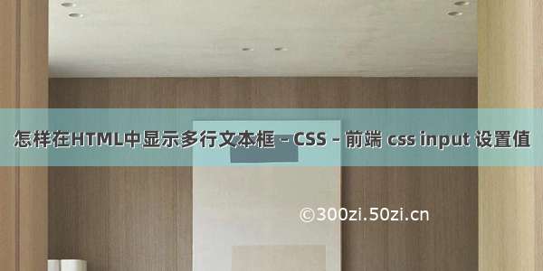 怎样在HTML中显示多行文本框 – CSS – 前端 css input 设置值