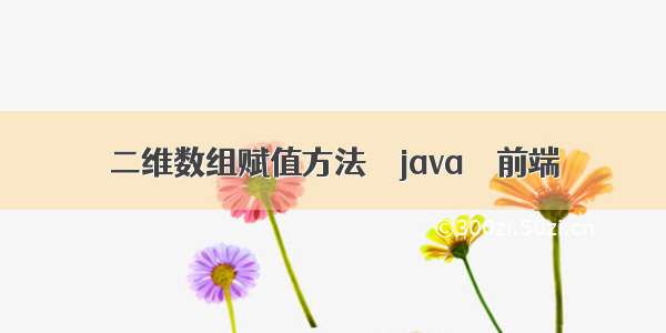 二维数组赋值方法 – java – 前端