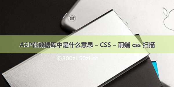 ASP在数据库中是什么意思 – CSS – 前端 css 扫描