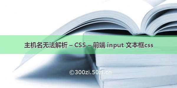 主机名无法解析 – CSS – 前端 input 文本框css