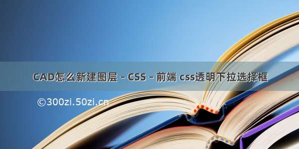 CAD怎么新建图层 – CSS – 前端 css透明下拉选择框