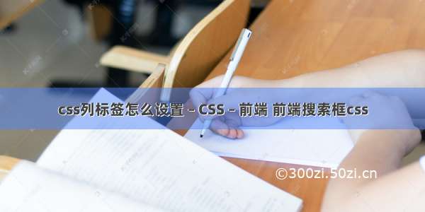 css列标签怎么设置 – CSS – 前端 前端搜索框css