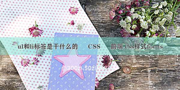 ul和li标签是干什么的 – CSS – 前端 css样式focus