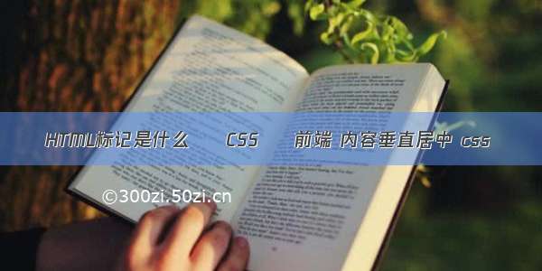 HTML标记是什么 – CSS – 前端 内容垂直居中 css