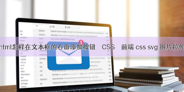 html怎样在文本框的右面添加按钮 – CSS – 前端 css svg 图片拉伸