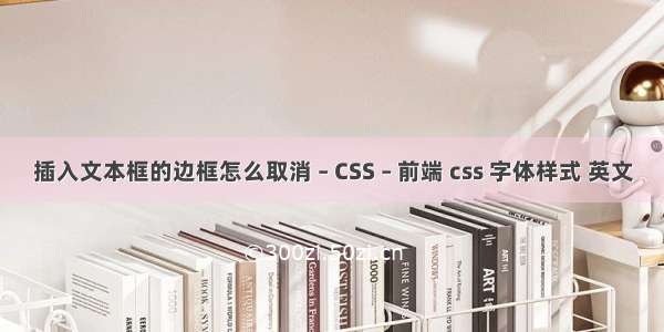 插入文本框的边框怎么取消 – CSS – 前端 css 字体样式 英文