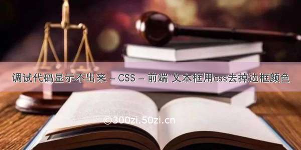 调试代码显示不出来 – CSS – 前端 文本框用css去掉边框颜色