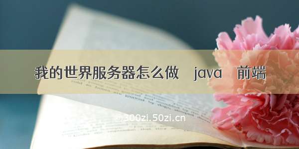 我的世界服务器怎么做 – java – 前端