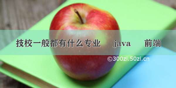 技校一般都有什么专业 – java – 前端