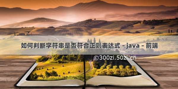 如何判断字符串是否符合正则表达式 – java – 前端