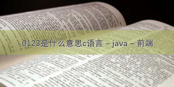 0123是什么意思c语言 – java – 前端