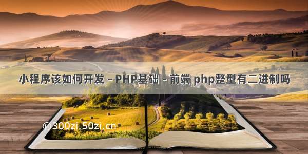 小程序该如何开发 – PHP基础 – 前端 php整型有二进制吗