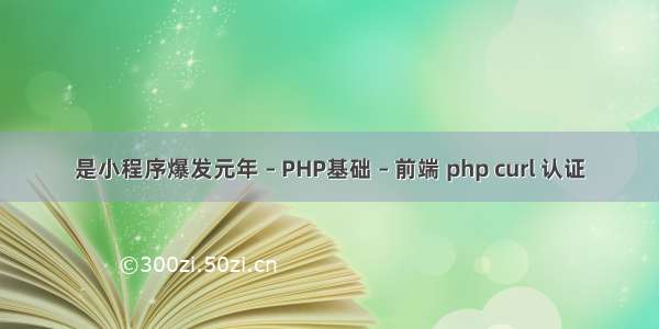 是小程序爆发元年 – PHP基础 – 前端 php curl 认证