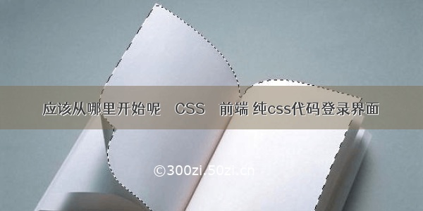应该从哪里开始呢 – CSS – 前端 纯css代码登录界面