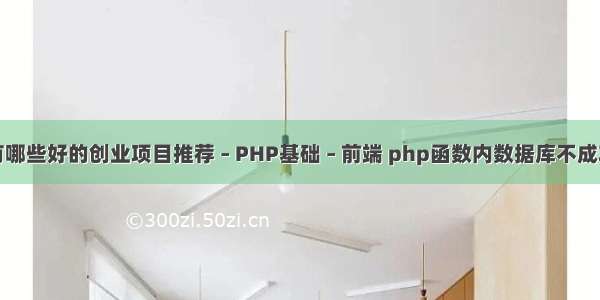 有哪些好的创业项目推荐 – PHP基础 – 前端 php函数内数据库不成功