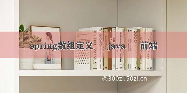 spring数组定义 – java – 前端