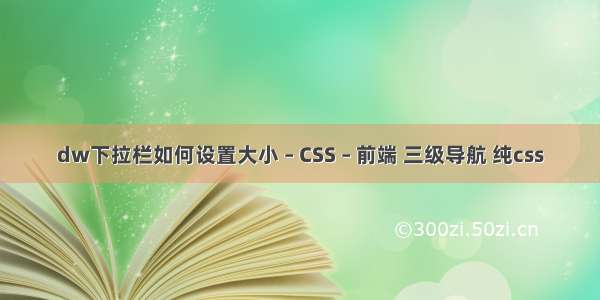 dw下拉栏如何设置大小 – CSS – 前端 三级导航 纯css