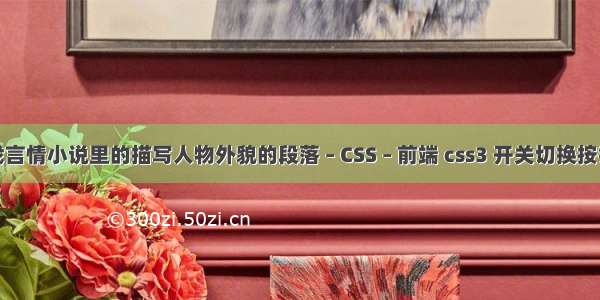 找言情小说里的描写人物外貌的段落 – CSS – 前端 css3 开关切换按钮