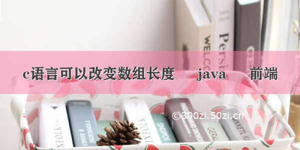 c语言可以改变数组长度 – java – 前端