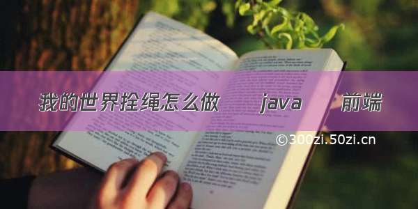 我的世界拴绳怎么做 – java – 前端