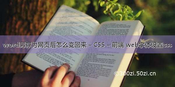 word另存为网页后怎么变回来 – CSS – 前端 web字体设置css