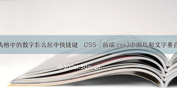 wps表格中的数字怎么居中快捷键 – CSS – 前端 css3中图片和文字垂直对齐