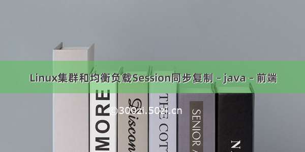 Linux集群和均衡负载Session同步复制 – java – 前端