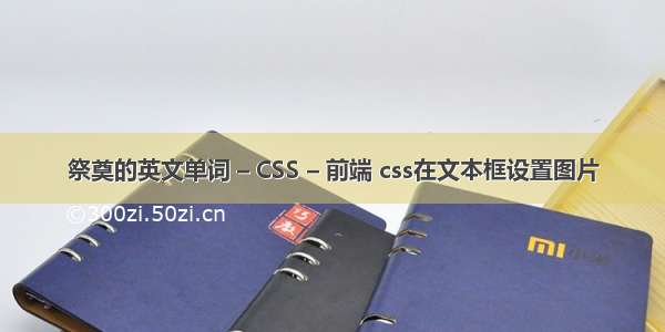 祭奠的英文单词 – CSS – 前端 css在文本框设置图片