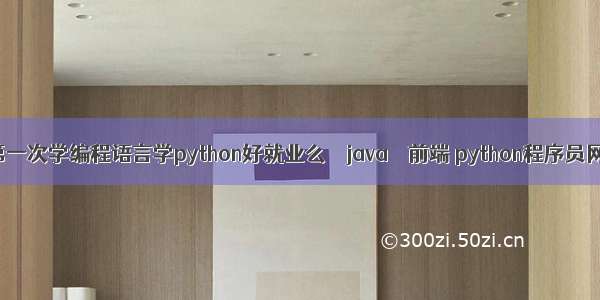 第一次学编程语言学python好就业么 – java – 前端 python程序员网