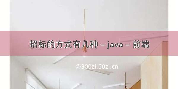 招标的方式有几种 – java – 前端