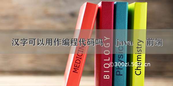 汉字可以用作编程代码吗 – java – 前端