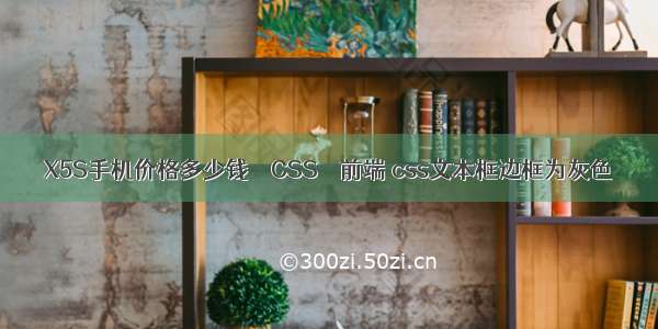 X5S手机价格多少钱 – CSS – 前端 css文本框边框为灰色