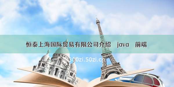 恒泰上海国际贸易有限公司介绍 – java – 前端