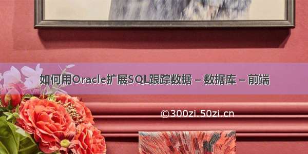 如何用Oracle扩展SQL跟踪数据 – 数据库 – 前端