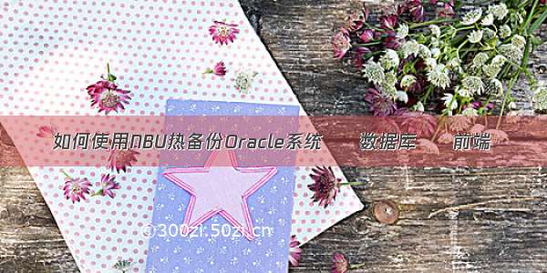 如何使用NBU热备份Oracle系统 – 数据库 – 前端