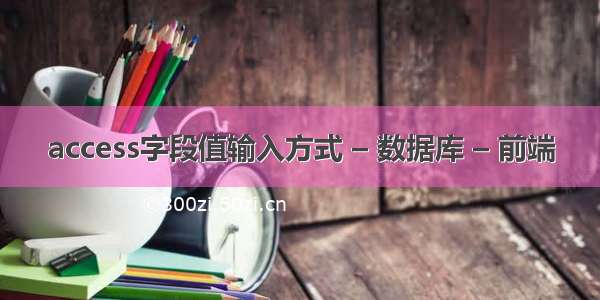 access字段值输入方式 – 数据库 – 前端