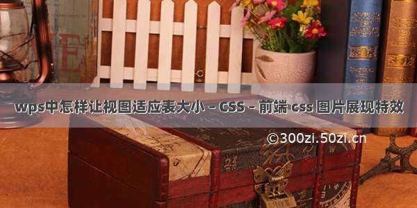 wps中怎样让视图适应表大小 – CSS – 前端 css 图片展现特效