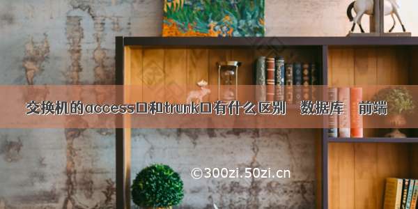 交换机的access口和trunk口有什么区别 – 数据库 – 前端