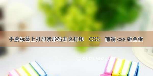 手腕标签上打印条形码怎么打印 – CSS – 前端 css 砸金蛋