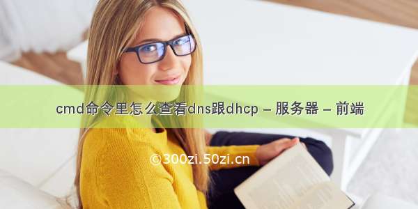 cmd命令里怎么查看dns跟dhcp – 服务器 – 前端