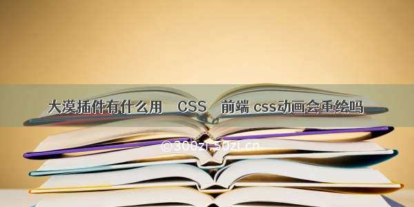 大漠插件有什么用 – CSS – 前端 css动画会重绘吗