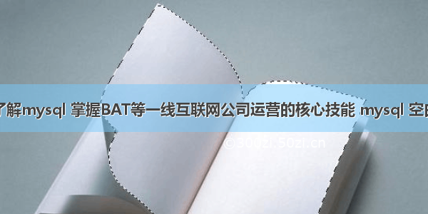 详细了解mysql 掌握BAT等一线互联网公司运营的核心技能 mysql 空白字段