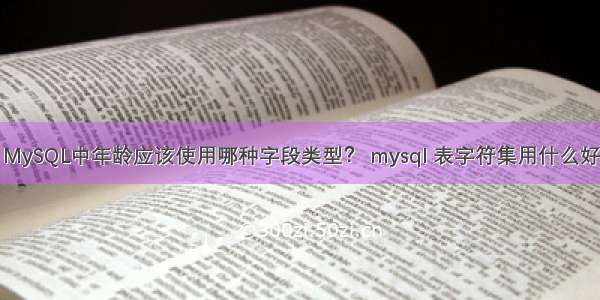 MySQL中年龄应该使用哪种字段类型？ mysql 表字符集用什么好